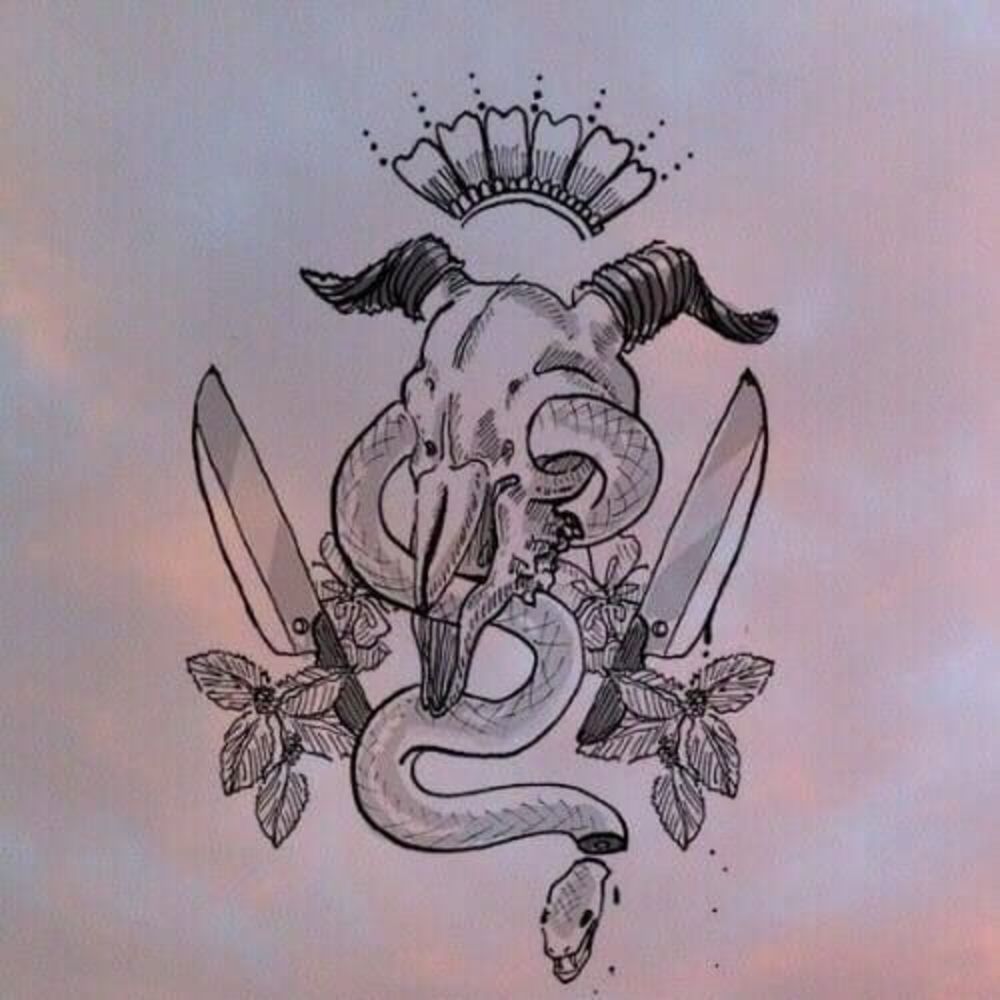 Meet your Posher, Catalina